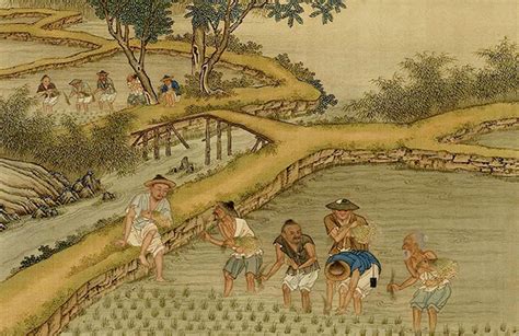  Knowledge of Farming: A Glimpse into Ancient Chinese Agricultural Wisdom