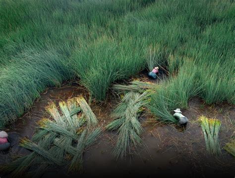  Resilient Roots: An Ode to Anatolian Agriculture - Unveiling the Tapestry of Sustainable Farming Practices